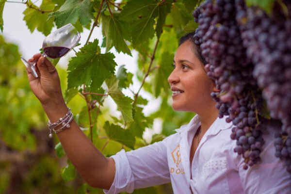 PERU VINO AREQUIPA 2022 154